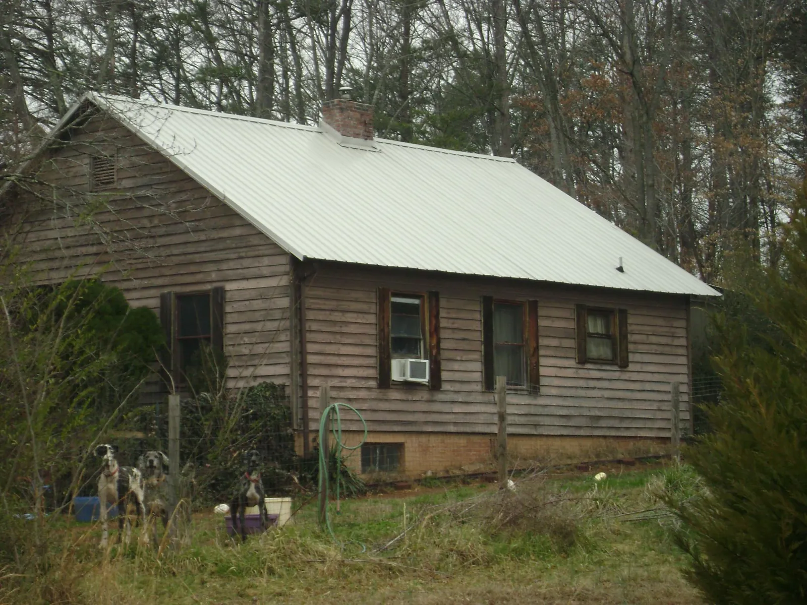White metal roof on an old wood sided farmhouse, from a Asphalt Shingle Roof Repair job in Cedarhurst